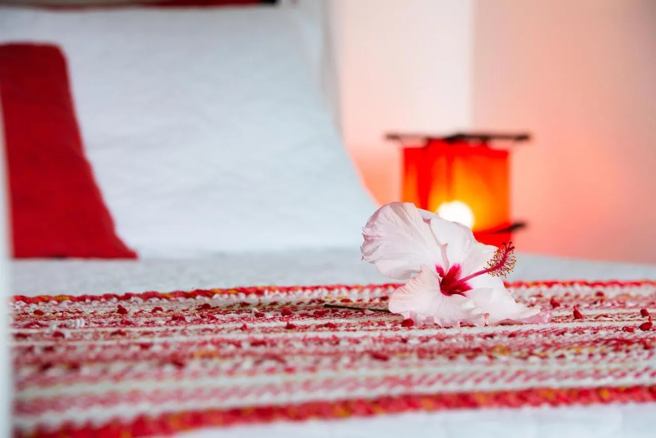 Olhos Verdes Guest House 邦比尼亚斯 宾馆